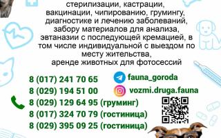ГП «Фауна города» предоставляет услуги