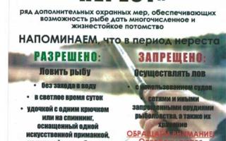 Специальное комплексное мероприятия «Нерест»